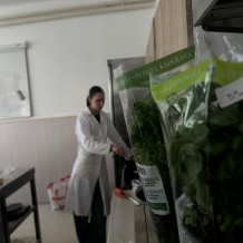 Projekt Gastro 2025 - 2. A